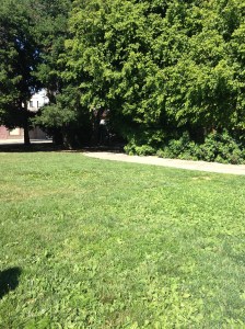 Who knew 'Central Park' was so tiny? And in Burbank??