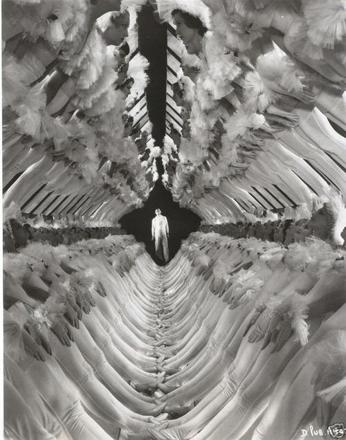 75ae0a0ca29c943e06c3d38b36cb6ee6--trippy-photos-busby-berkeley
