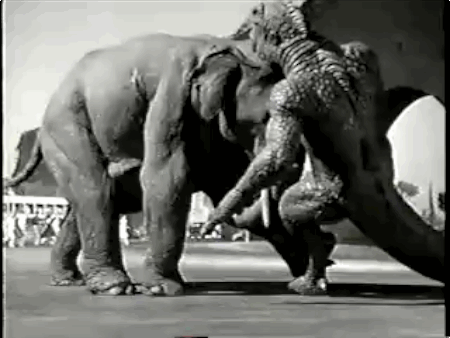 cab11cdef64b94552707d62a2fea1a7e